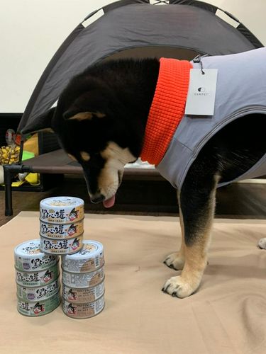 Customer photo review of Dogcatstar 汪喵星球 汪喵無膠點心罐 (80g /160g)