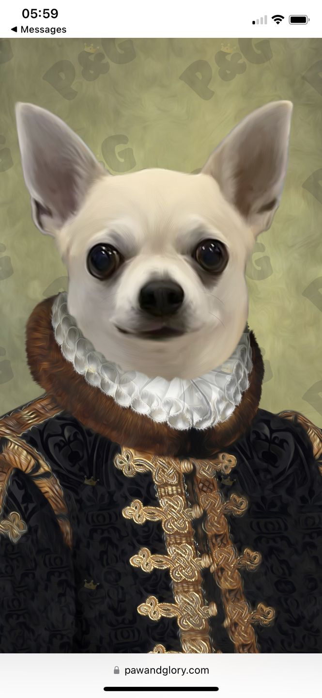 Customer photo review of The Count: Custom Pet Portrait