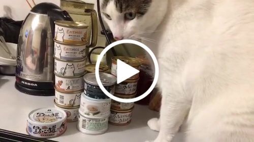 Customer video review of Dogcatstar 汪喵星球 汪喵無膠點心罐 (80g /160g)