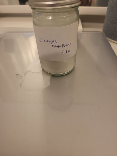 Customer photo review of Premium Strength S Acetyl Glutathione Powder (1g- 100g)