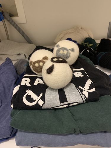 Customer photo review of 100% Wool Dryer Puffs