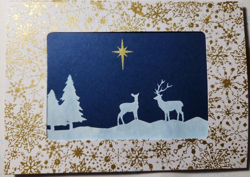 Customer photo review of Bethlehem - Mesh Stencil 8.5x11