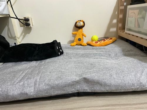 Customer photo review of DOGSONG 北歐風平面寵物睡墊