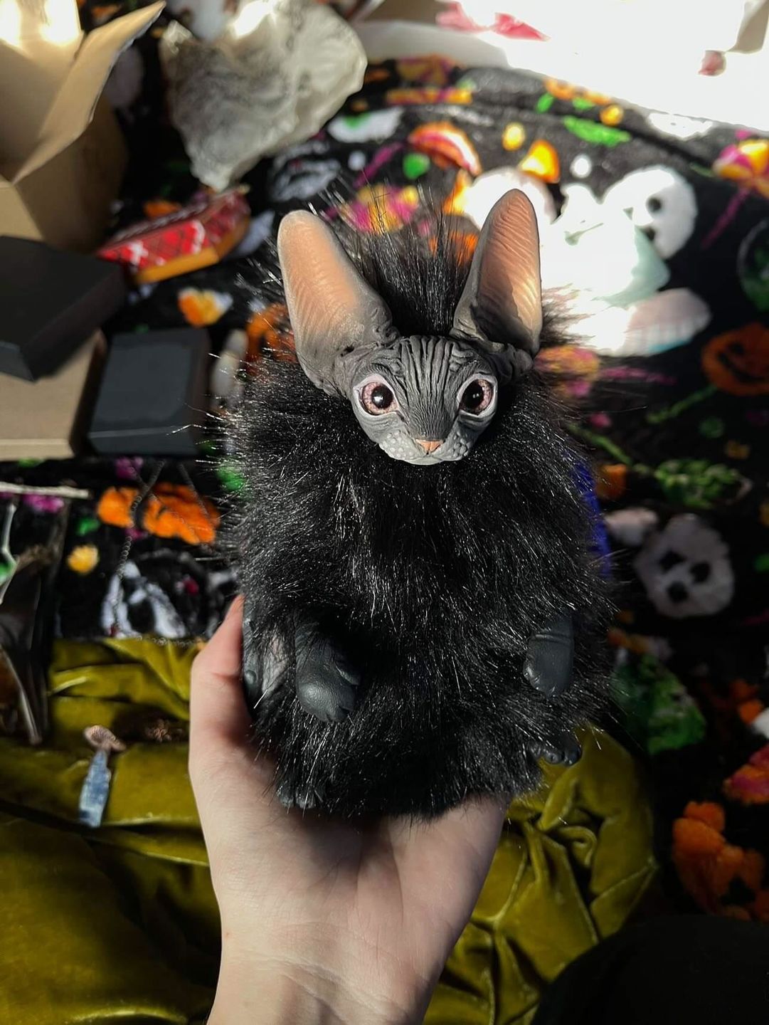 Customer photo review of Baby batcat