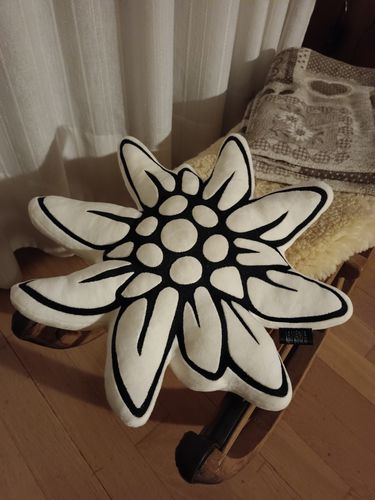 Recensione con foto di un cliente su Stella  ⭐️ Alpina