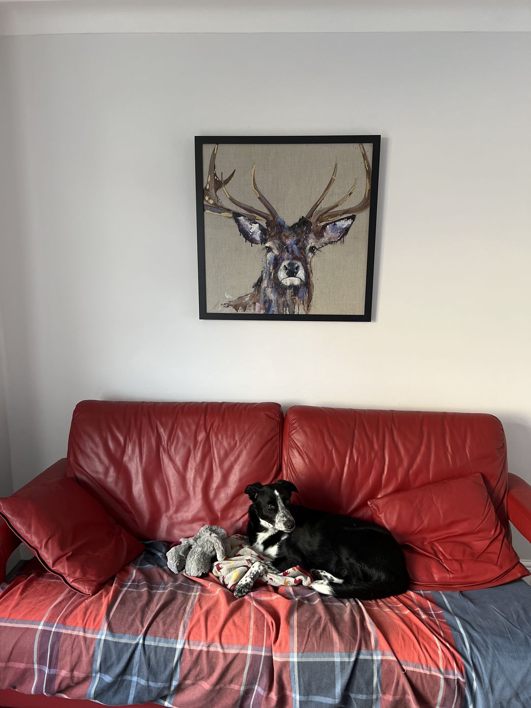 Customer photo review of Majesty By Louise Luton Framed Canvas