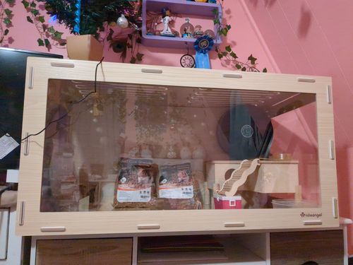 Customer photo review of Niteangel Bigger World MDF Terrarium Aspen Poplar Wooden Enclosure for Syrian and Dwarf Hamsters