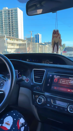 Customer photo review of Three Custom Air Fresheners