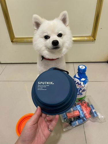 Customer photo review of SPUTNIK EXPLORE 寵物摺疊碗