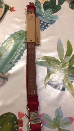 Customer photo review of SPUTNIK EXPLORE 寵物牽繩