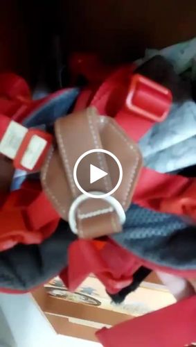 Customer video review of SPUTNIK EXPLORE 狗狗胸背帶