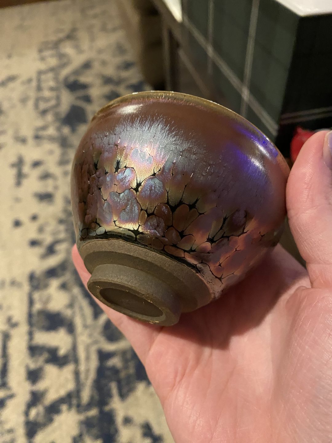 Customer photo review of Succulent