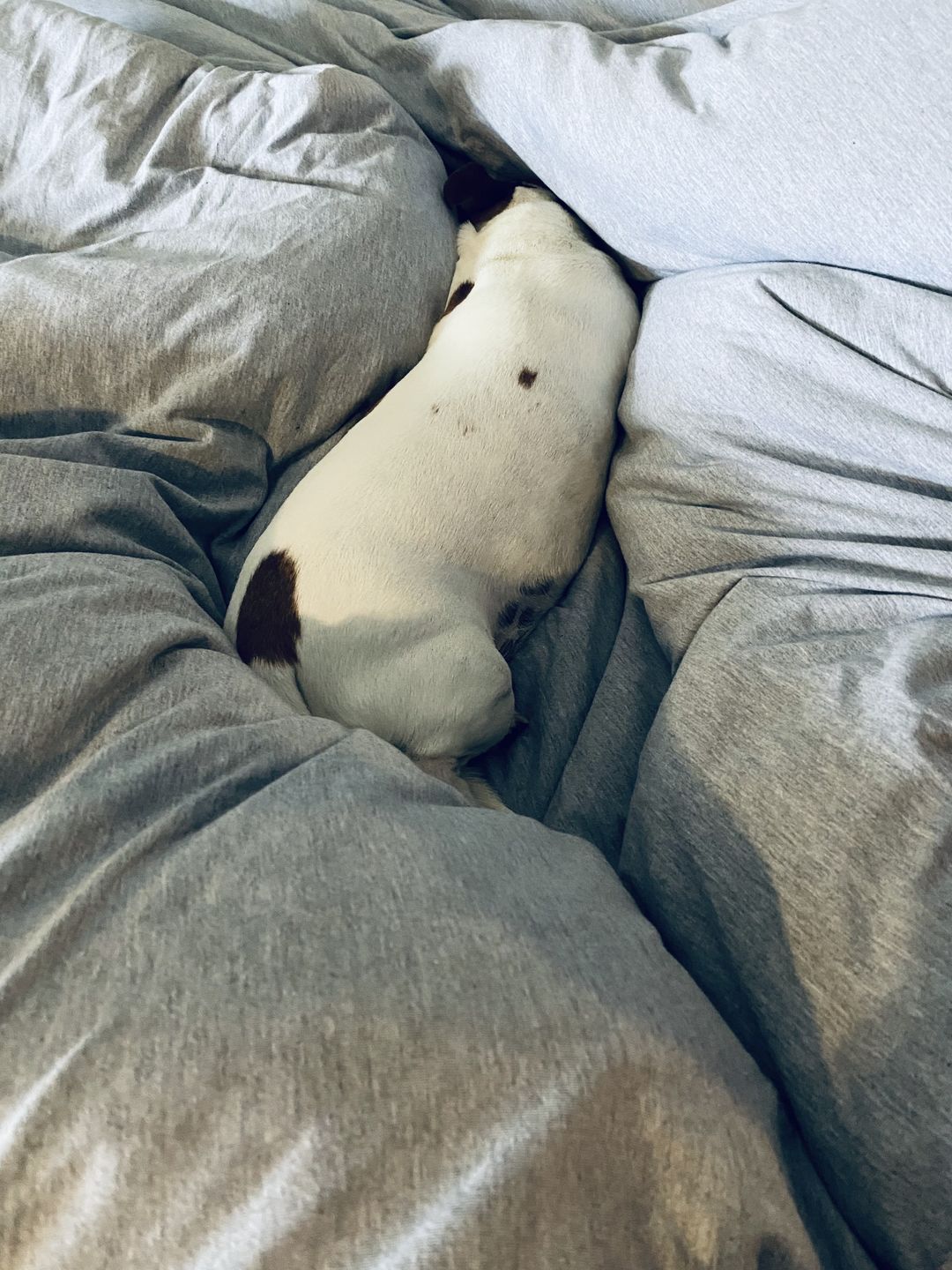 Customer photo review of Soft Grey Duvet Cover Set