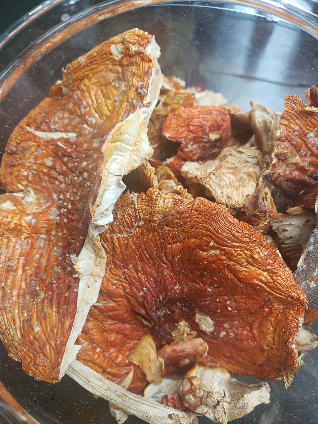 Customer photo review of Bulk Magic Mushroom Gummies - 50% Off