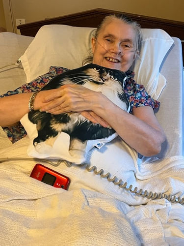 Customer photo review of Create A Custom Cat Pillow