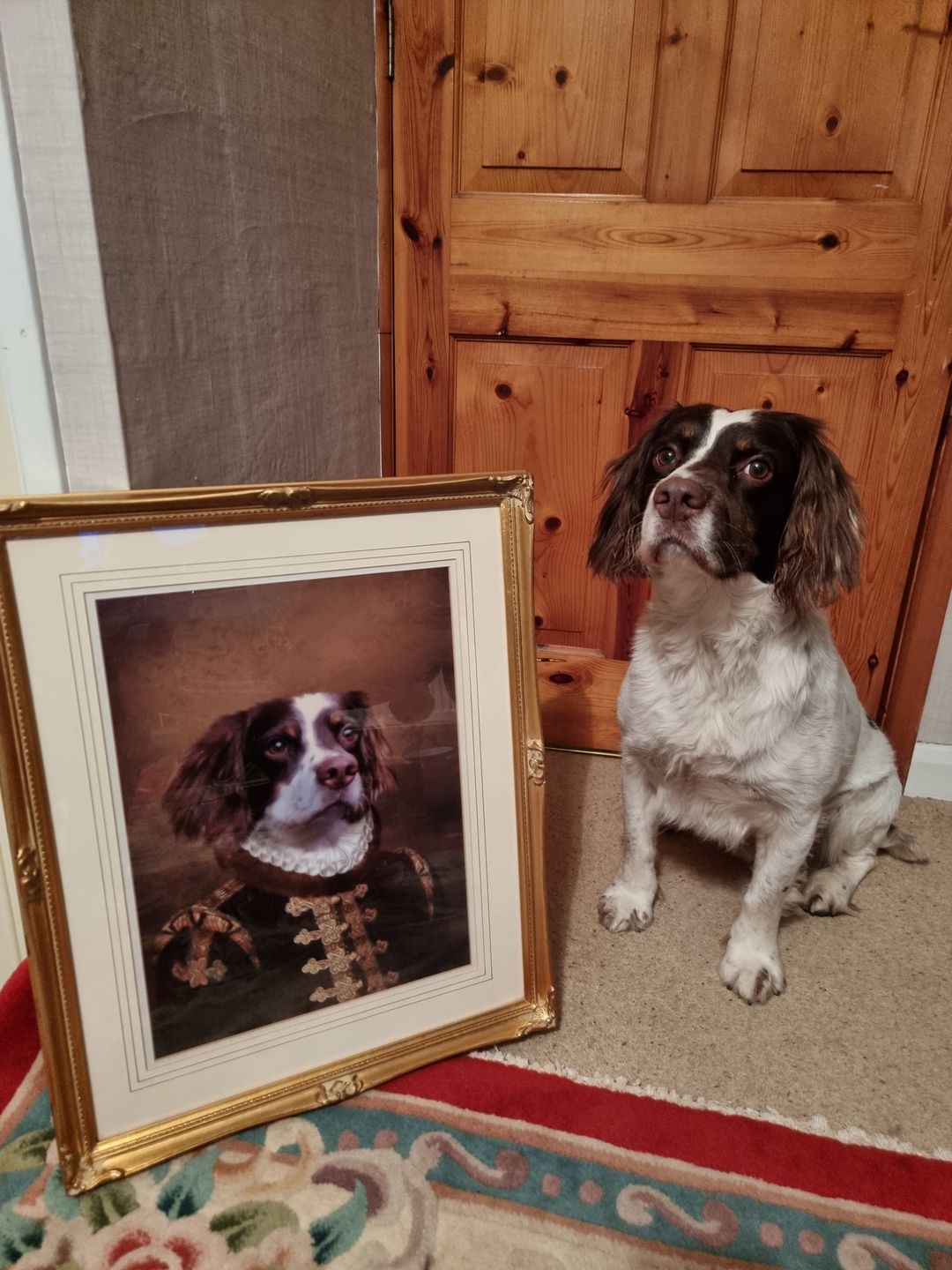 Customer photo review of The Count: Custom Pet Portrait