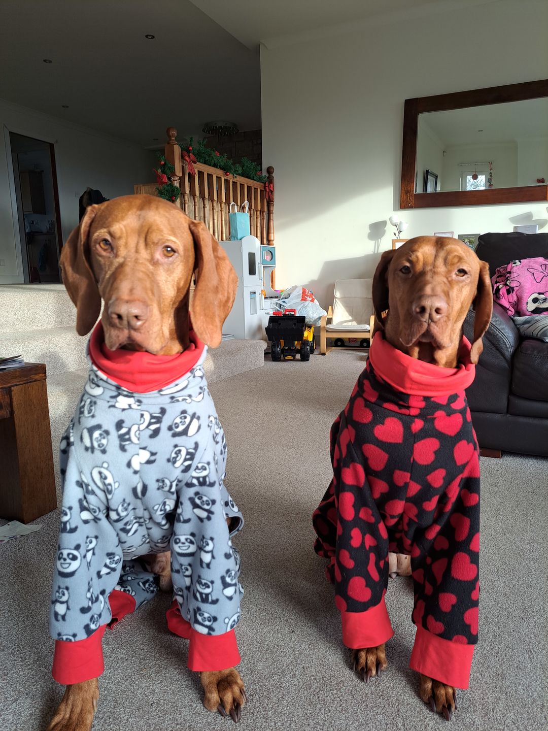 Customer photo review of All Over Hearts Anti Pill Polar Fleece Fabric