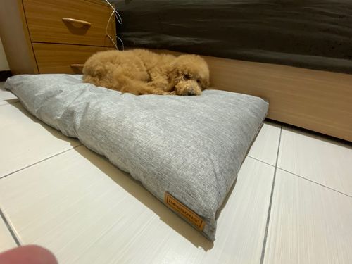 Customer photo review of DOGSONG 北歐風平面寵物睡墊