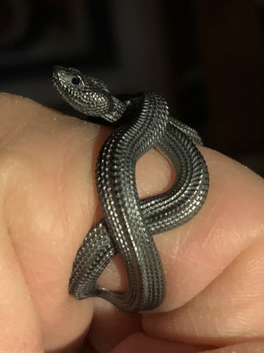 Customer photo review of Snake Ring