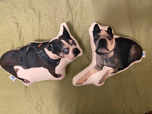 Customer photo review of Create A Custom Dog Pillow
