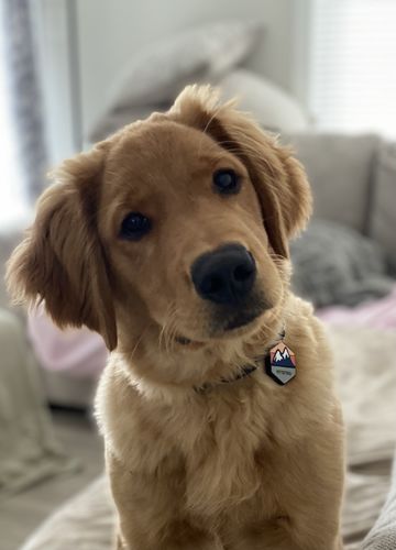 Customer photo review of Explorer Silicone