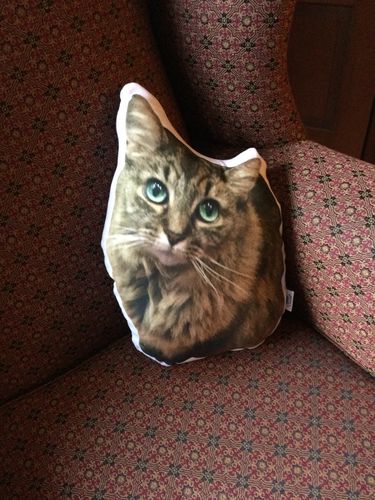 Customer photo review of Create A Custom Dog Pillow