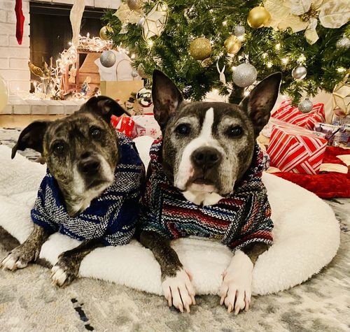 Customer photo review of Playa Poncho - Surprise Color