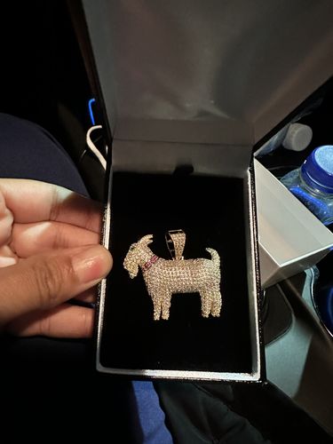 Customer photo review of *NEW* 14K Gold GOAT 🐐 Pendant - JTJ™