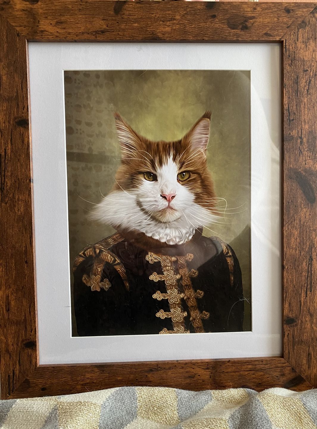 Customer photo review of The Count: Custom Pet Portrait