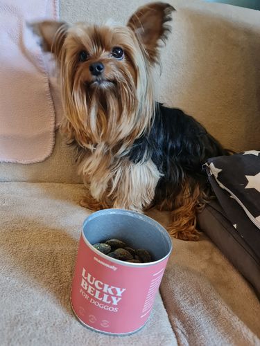 Customer photo review of Lucky Belly