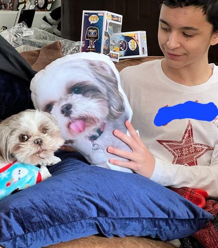 Customer photo review of Create A Custom Dog Pillow