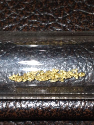 Customer photo review of *BOGO* Gold Diggers Delight '10 TROY OUNCE GOLD HUNT' - Gold Paydirt Panning Concentrates