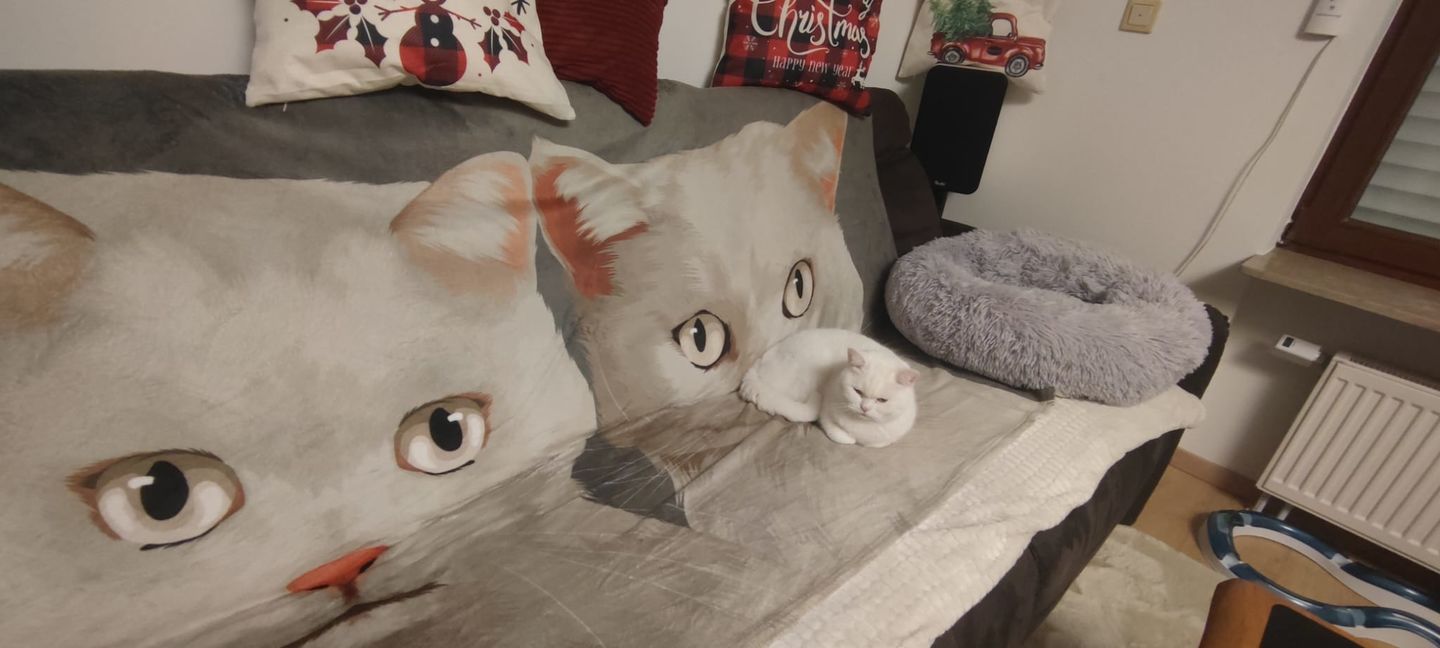 Customer photo review of Personalisierte Katzen Tier-Kuscheldecke