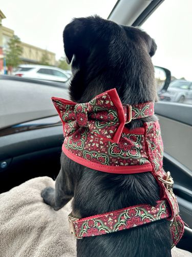 Customer photo review of Christmas medallion floral dog harness vest/ girl boy retro flower dog harness