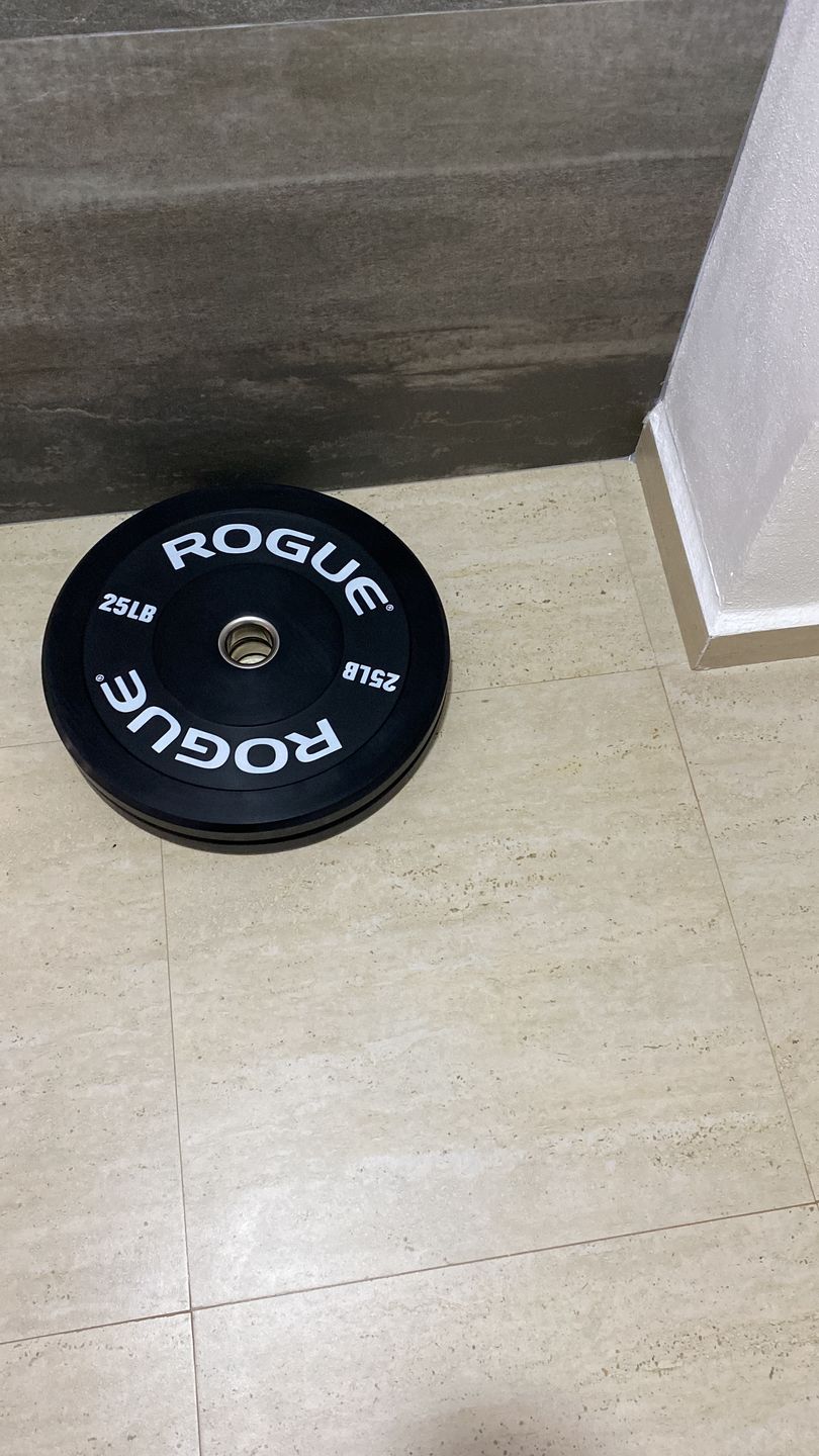 Customer photo review of Rogue Echo Bumper Plates