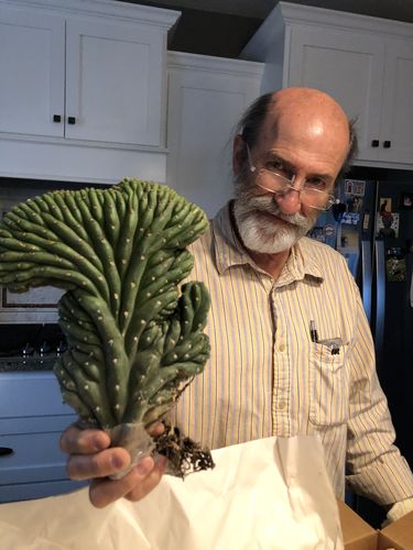 Customer photo review of Crested San Pedro Cactus | Echinopsis pachanoi cristata