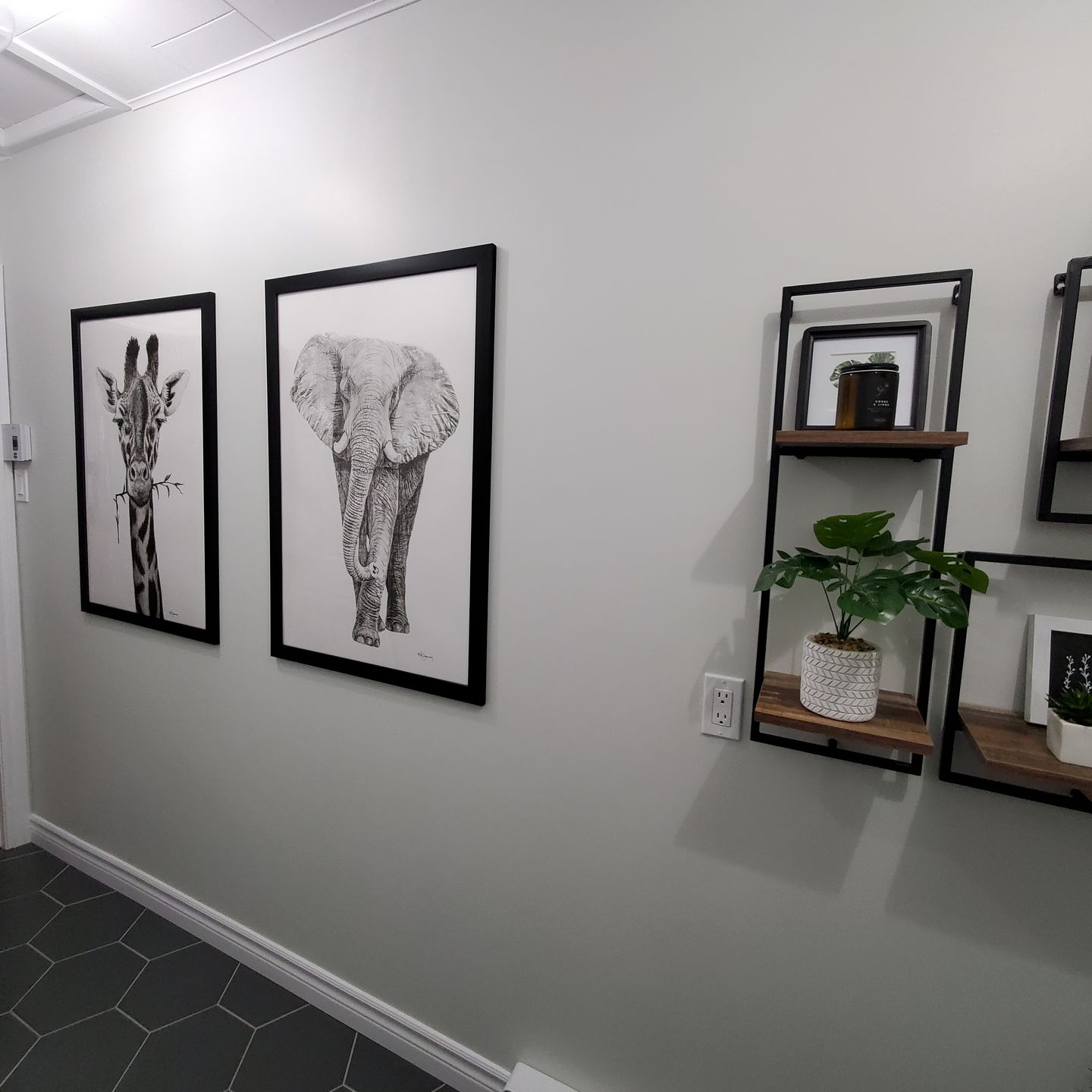 Customer photo review of Elephant illustration - 25% of Profit go to La Fondation du Zoo de Granby