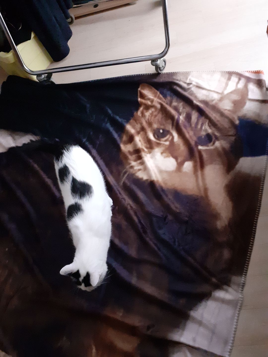 Customer photo review of Eigenes Foto - Individuelle Decke