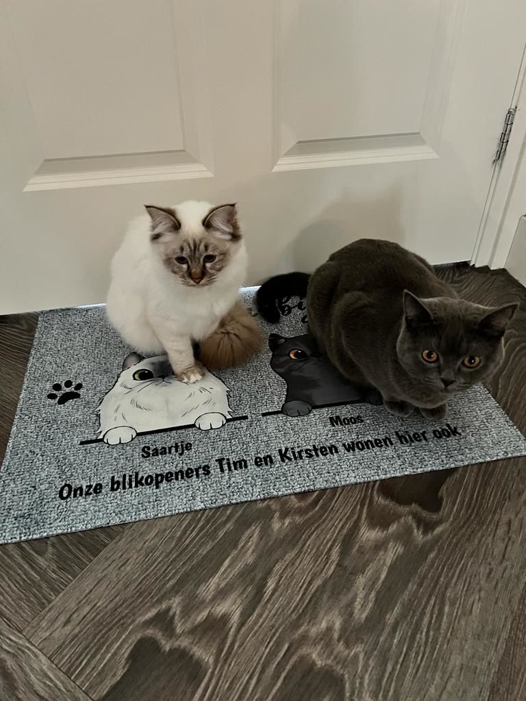 Customer photo review of Welkom bij nieuwsgierige katten - Gepersonaliseerde deurmat