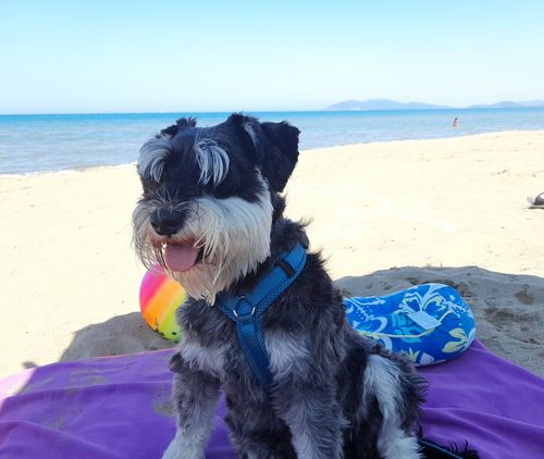 Customer photo review of Lucky Belly