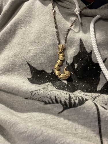 Customer photo review of Scorpion Tail Pendant