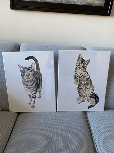 Customer photo review of Custom Pet Canvas