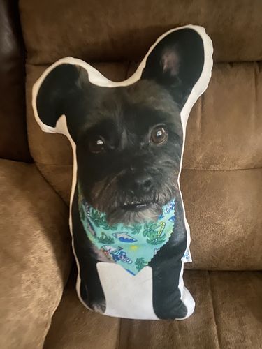 Customer photo review of Create A Custom Dog Pillow