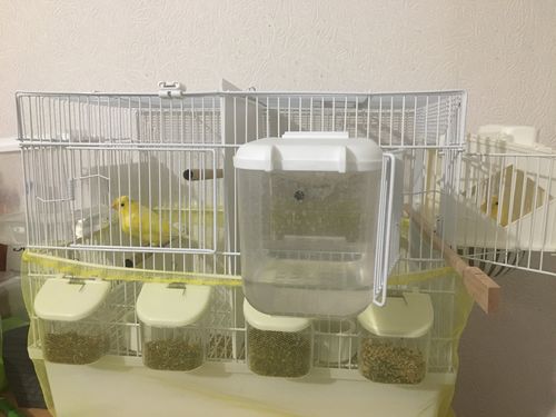 Customer photo review of Witte kweek kooi/ cage met onderbak