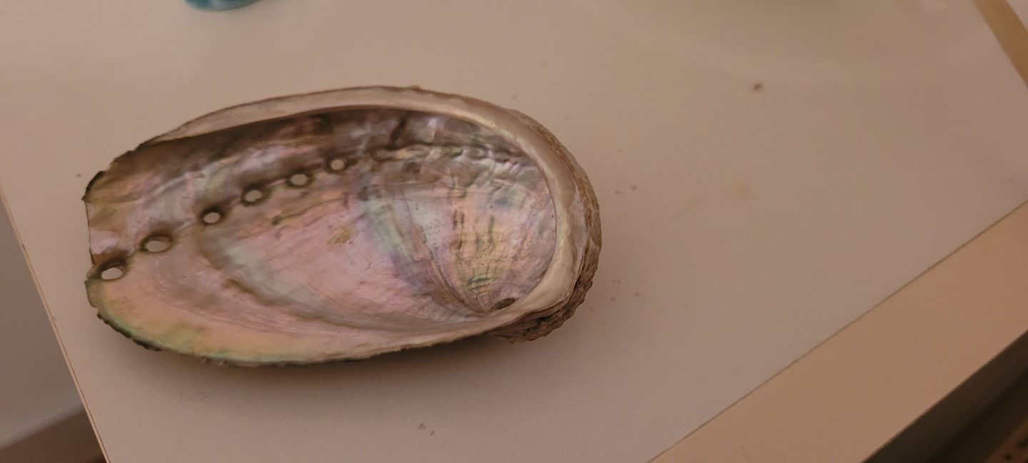 Customer photo review of Abalone naturel (Ormeau)