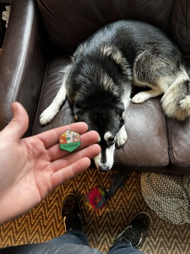 Customer photo review of Floral Silicone