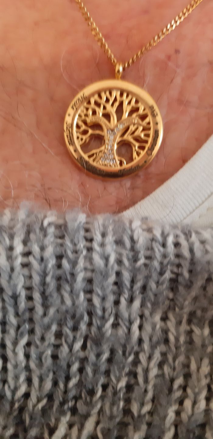 Customer photo review of LOANYA personalisierte Lebensbaumkette mit Zirkoniasteinen