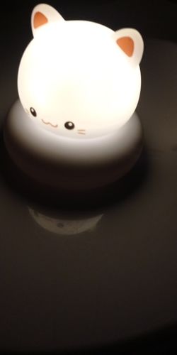 Customer photo review of Cute Baby Night Light