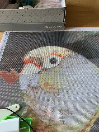 Customer photo review of Eigen Foto Diamond Painting