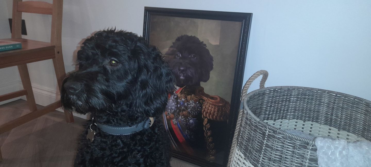 Customer photo review of The First Lieutenant: Custom Pet Portrait